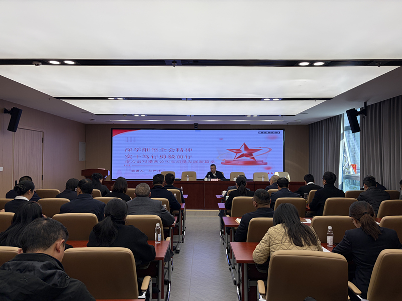 攀西公司党委书记、董事长刘严才开展党的二十届四中全会暨省委十二届八次全会精神专题宣讲