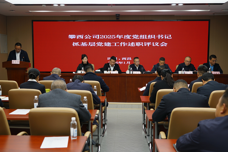攀西公司召开2025年度党组织书记抓基层党建工作述职评议会