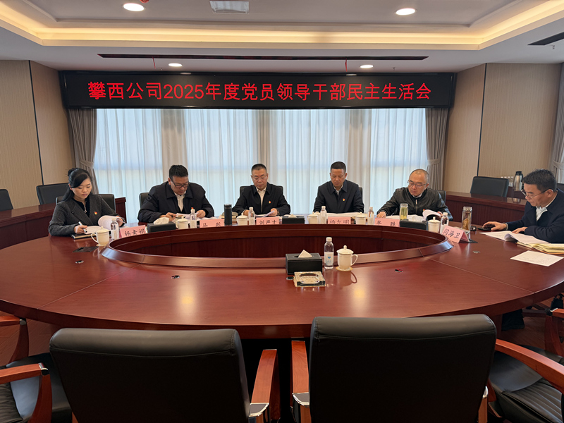 攀西公司召开2025年度党员领导干部民主生活会