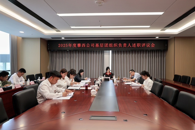 攀西公司召开2025年度基层团组织负责人述职评议会